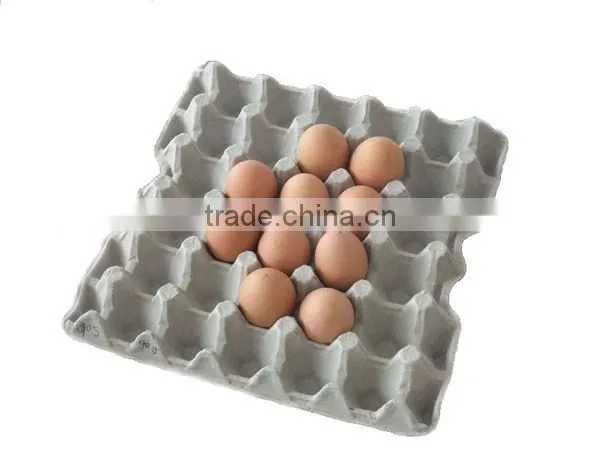 Molded Pulp Tray Forming Machine photo-5