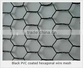Hexagonal Woven Twist Wire Mesh - Galvanized and PVC Coated Chicken Mesh Price photo-3