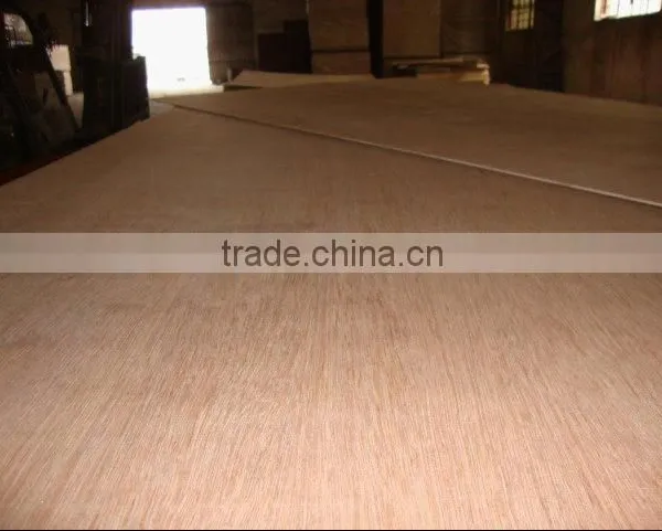 Packing Plywoood for Packing With Cheap Price photo-3