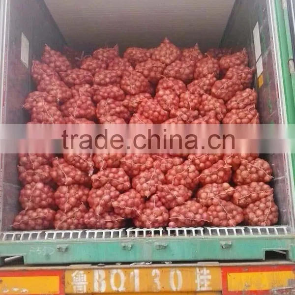 Chinese Red Onion Specification Fresh photo-3