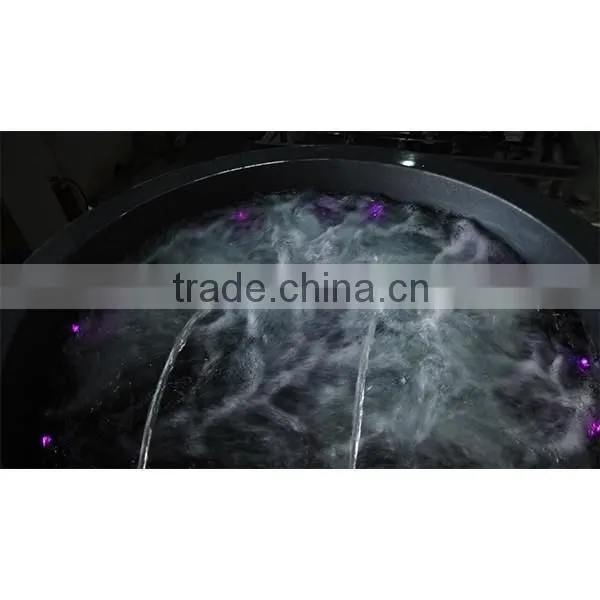Reasonable Price Acrylic USA Balboa Brand Control System Massage Spa Round Spa photo-2