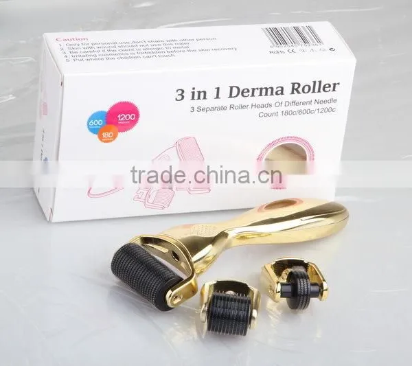Factory Sale CE Lowest Price Health Care Chengeable Heads Derma Roller Care Facial Kit for Sale photo-5