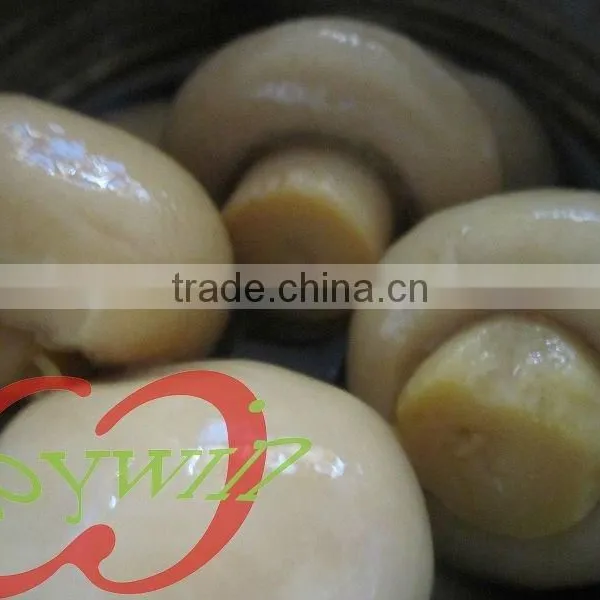 Chinese Canned Food Canned Mushroom