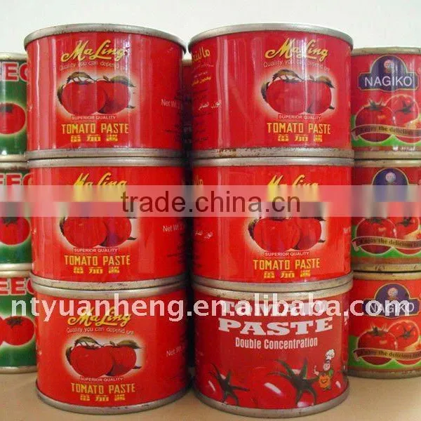 Best Selling Products Canned Tomato Paste Factory Making for the World photo-2