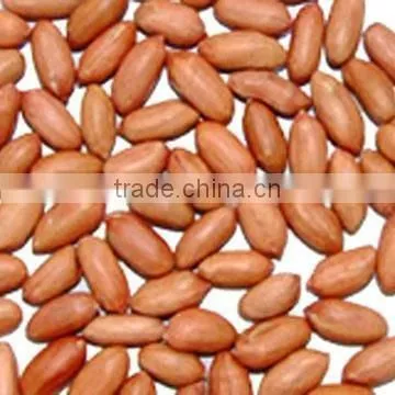 Chinese Peanut