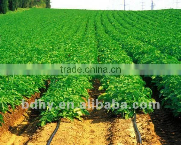Drip Irrigation Tape With Double Line photo-5