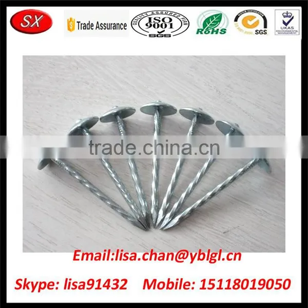 OEM/ODM Stainless Steel Roofing Nail With Umbrella Head photo-4