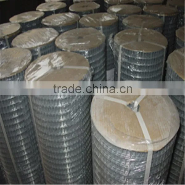 Express 2016 New Products Galvanized Welded Wire Mesh Factory(iso9001 Factory)/Welded Wire Mesh photo-3