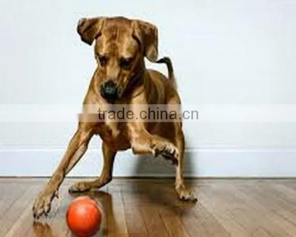 EVA Foam Dog Pet Products Pet Toy Pet Balls photo-4