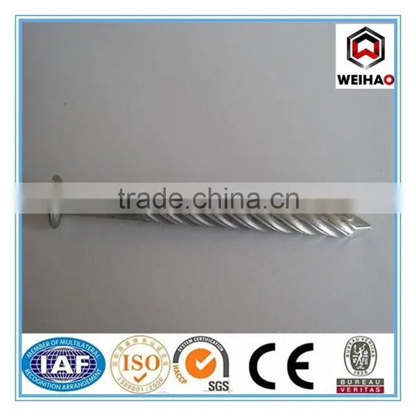 Good Quality Common Nail Iron Nail Factory photo-3