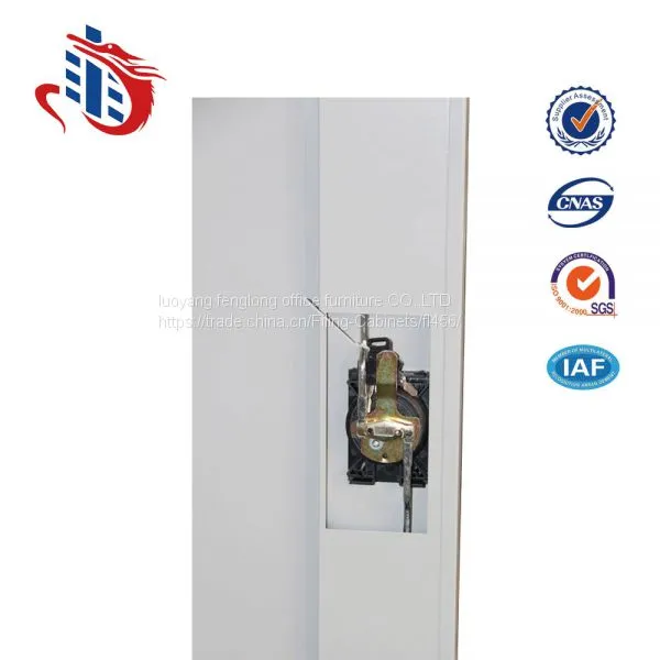 Luoyang Fenglong Office Furniture Steel Cupboard Storage Cabinet With Metal Two 2 Swing Door photo-5