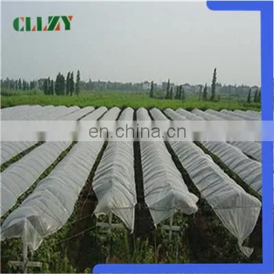 Good Selling Pla Biodegradable Material in China Factory photo-3