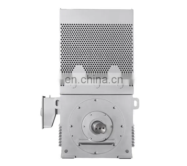 Siemens Brand Big Power 6.6KV High Efficiency Induction Motor photo-2
