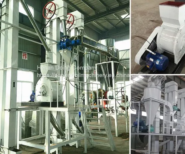 Doing brand palm kernel process machine to get complete palm kernel with high efficiency