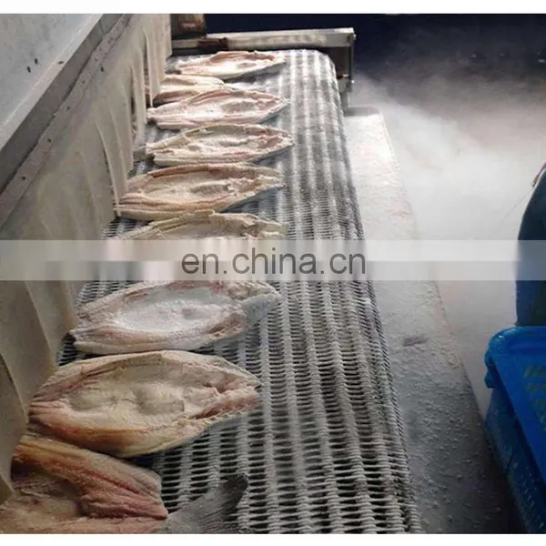 Complete Sea Buckthorn Branch Freezing Machine for the Sea Buckthorn Fruit Processing photo-5