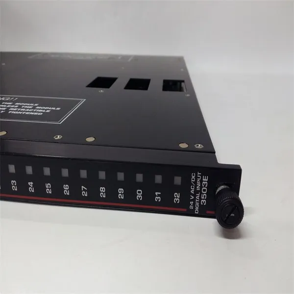 Triconex 3503E Digital Output Module photo-3