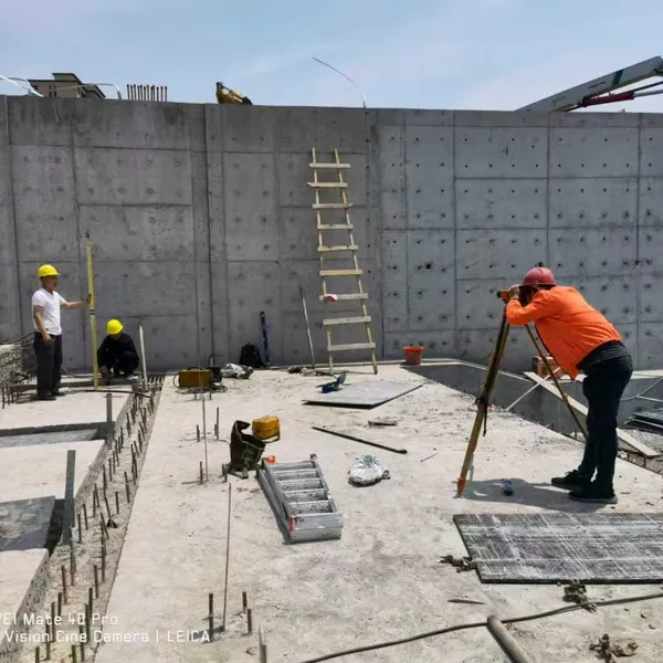 Hydraulic Elevator Dam With Mill Test Report for Quality Assurance