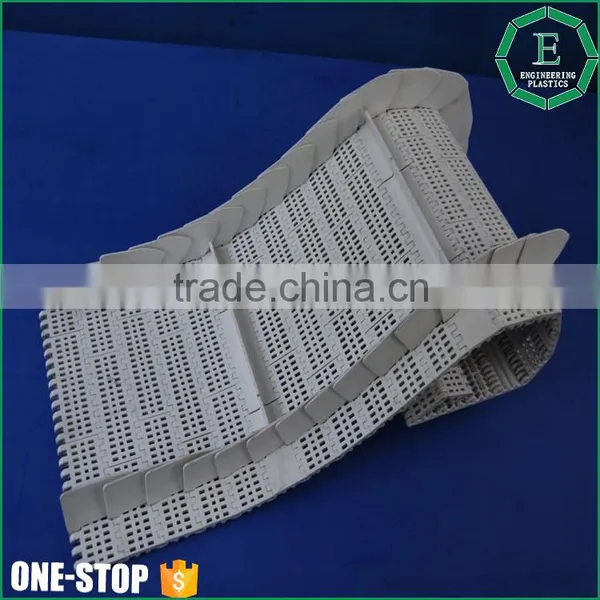 OEM Engineering Heat Treatment Injection Mould Polymide ERTALON Durable Flexing Convey Plastic Roller Chain photo-6
