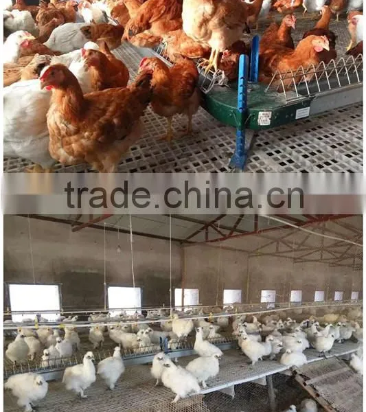 Plastic Flooring for Chicken/duck/rubbit (Professional Manufacturer)