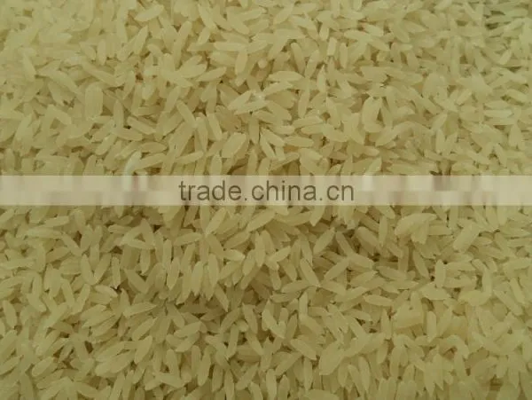 Thin and Long Automatic Artificial Rice Making Machine photo-5