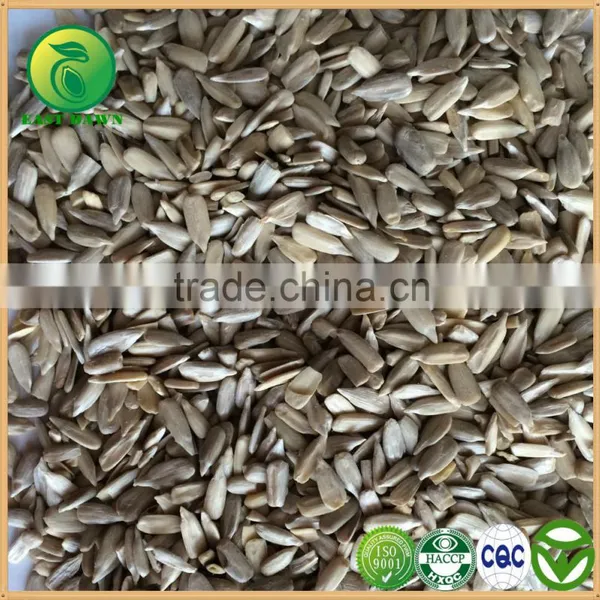 Companies Email Address for Bird Seed Manufactures Sun Flower Seeds in Iran
