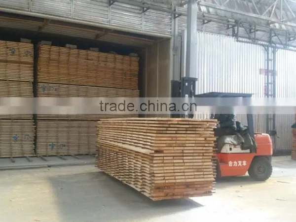 Germany Joint Venture Timber Dry Kiln, Kiln Dryer, Wood Drying Camera for Sale photo-6