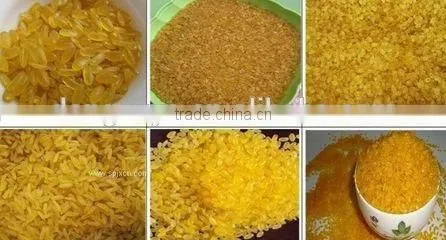 Instant Rice/nutritional Rice/artificial Rice Machinery photo-5