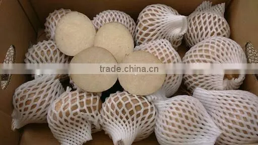 Vietnam Fresh Taro With Best Price and Good Quality photo-5