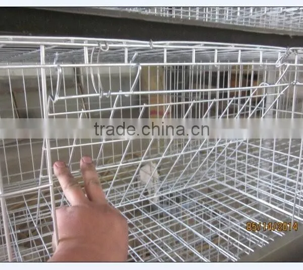 H Type Automatic Layer Poultry Cages for Nigeria photo-2