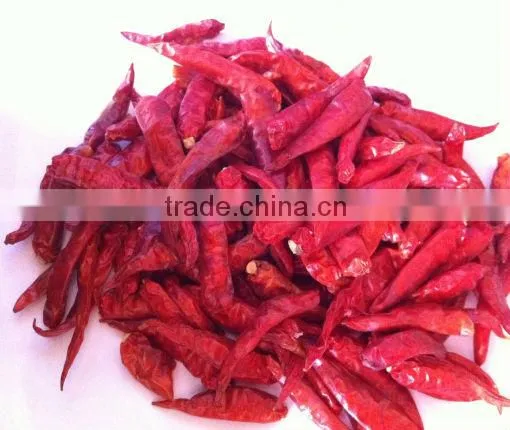 Fresh Chili, Dried Chili