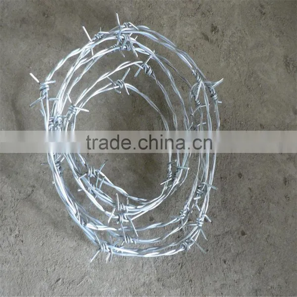 Electro/Hot Dipped Galvanized Double Line Barbed Wire photo-4