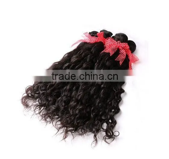 Clip on Human Hair Extension /clip in Human Hair/clip Hair /clip Hair Extension/clip on /in Human Hair Extension/hair Product photo-5