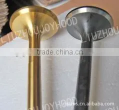 China Manufacture Best Quality Truck Engine Exhaust Valve photo-2