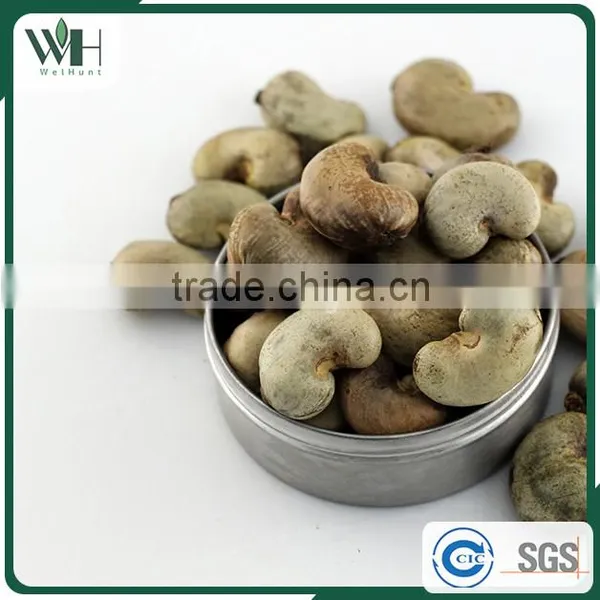 Cambodia Origin Raw Cashew Nuts in Shells photo-6
