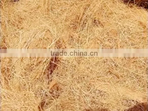 Exporter of Coir Coconut Fibre photo-2