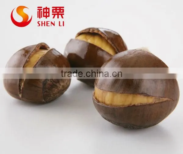 Chinese Chestnuts for Sale---Best Fresh Chestnut in the World photo-5