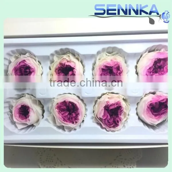 Import China Preserved Flowers Preserved Austin Rose Wholesale photo-5