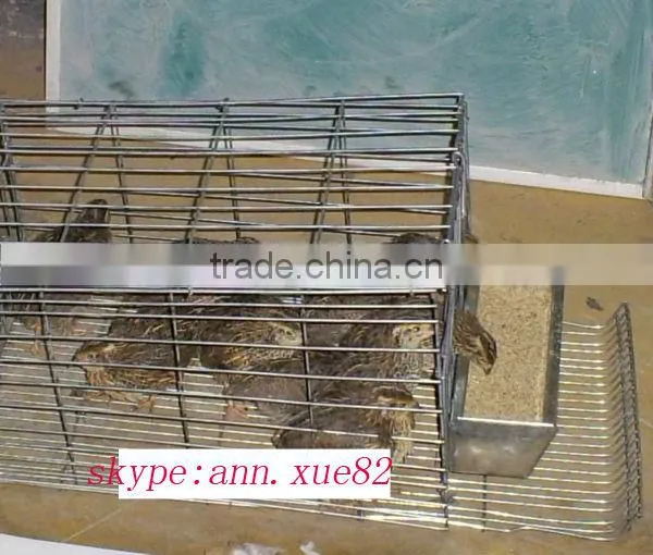 Layer Quail Cage For Sale