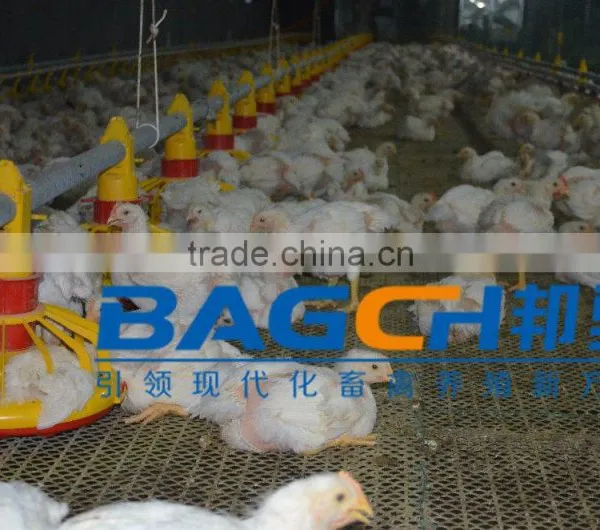 Best Selling Durable Automatic Poultry Nipple Drinker for Chicken photo-6