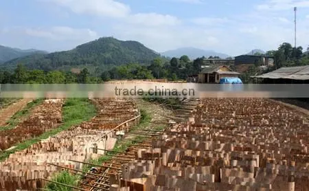 VIETNAM EUCALYPTUS/ACACIA DRIED SHORT CORE VENEER - HIGH QUALITY FOR KOREA