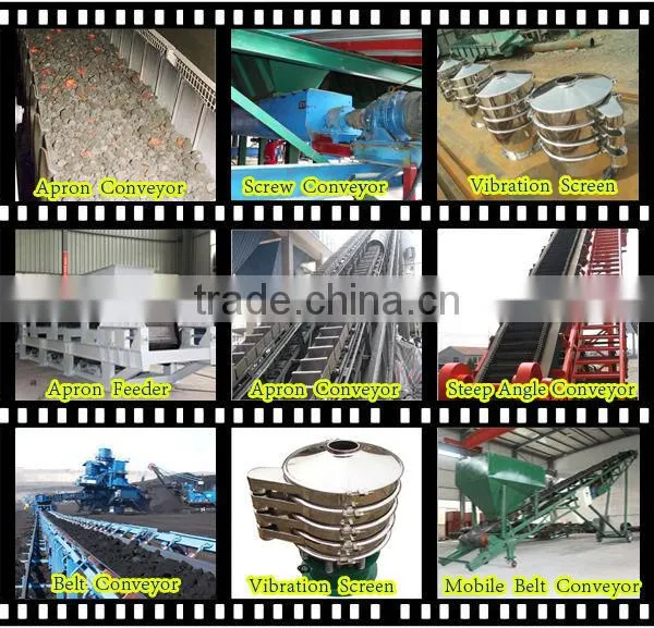 Chinese Hot Sale Chain Bucket Elevator, Mining Bucket Elevator photo-3
