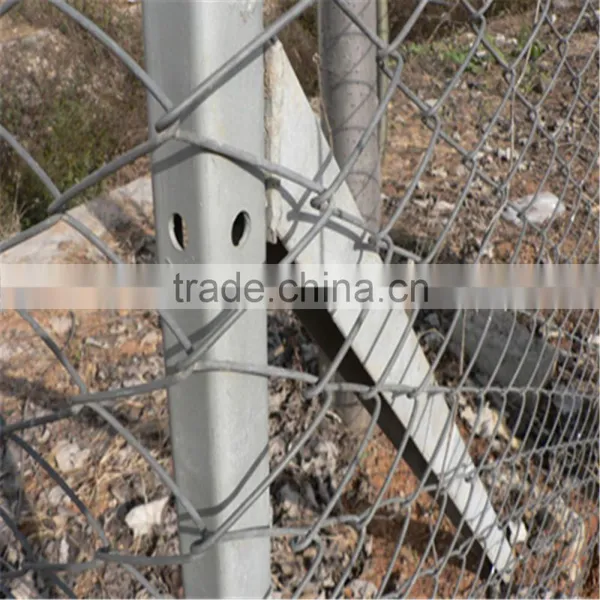 Gardeb Use Pvc Coated Galvanized Green Vinyl Coated Chain Link Fence/Chain Link Fence photo-4