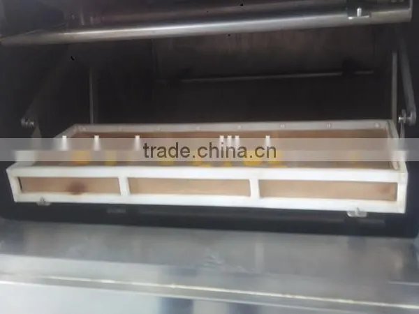 Microwave Vacuum Dryer for Mango/mango Slice photo-4