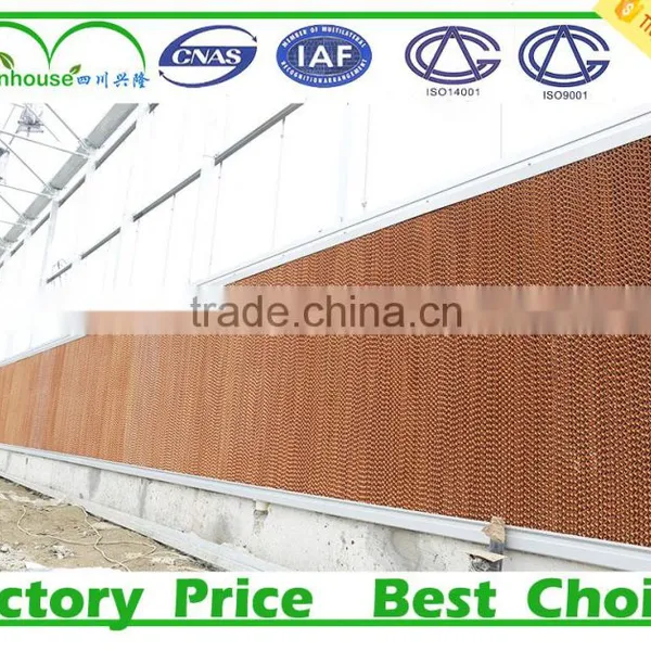 China Agricultural Greenhouse photo-6