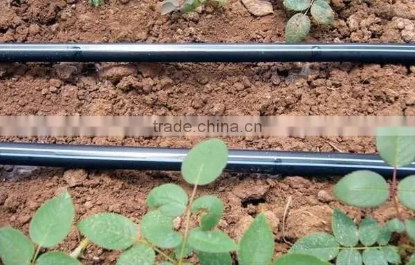 Popular Style Cheap Inlay Belt Drip Line for Farm Irrigation photo-2