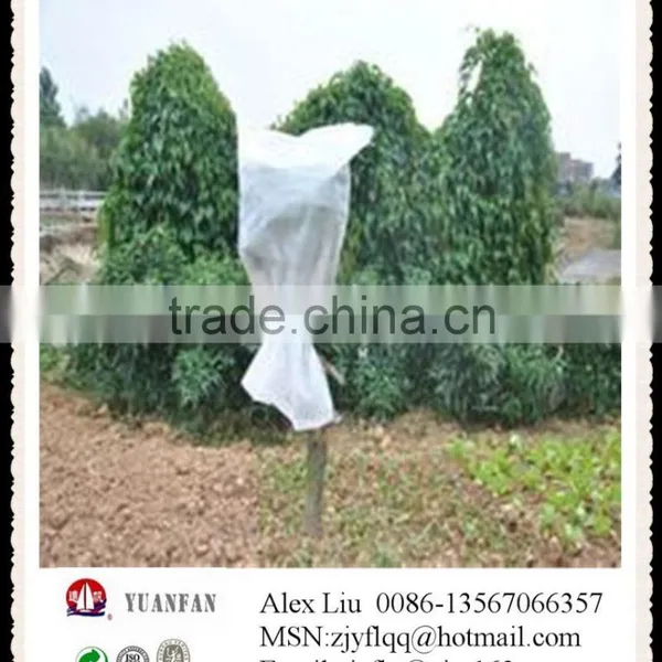 PP Non Woven Fabric Anti-freeze Bags photo-4