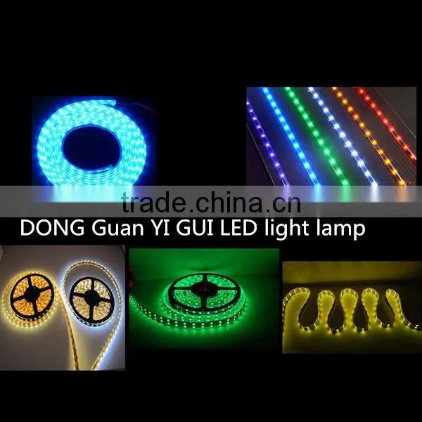 People Like and Hot Sale Christmas Light LED Rope Light LED Strip Light for Outdoor photo-3