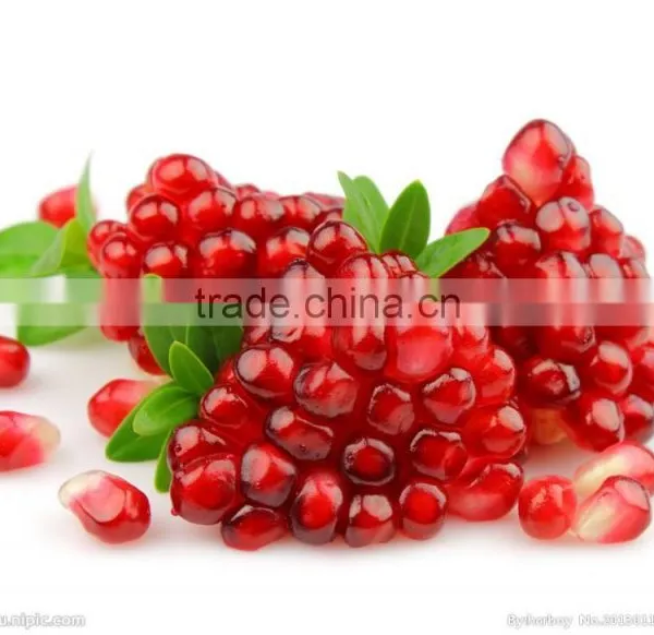 BPA FREE Plastic Practical Kitchenware Small Tools Pomegranate Peeler for Kitchen photo-5