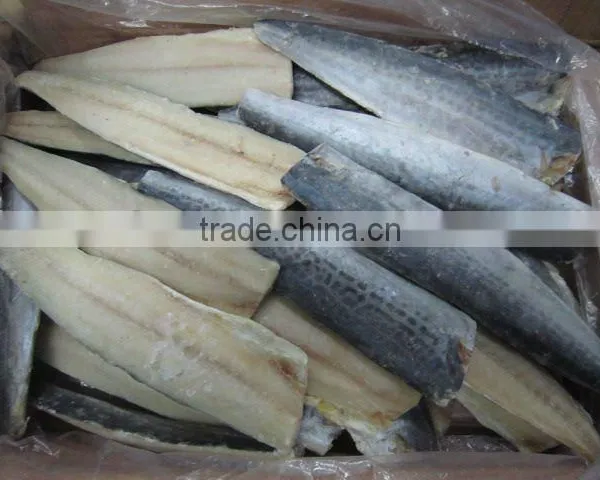 Frozen Spanish Mackerel Fillets