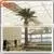 Hot Sale Artificial Decorative Metal Palm Trees photo-4